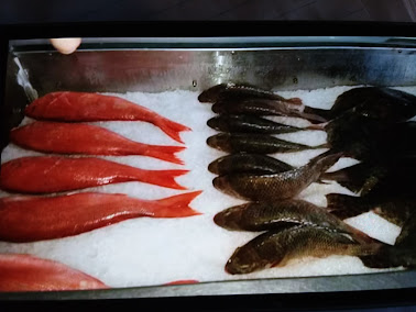 Fresh fish on ice at Taylor's Fresh Seafood