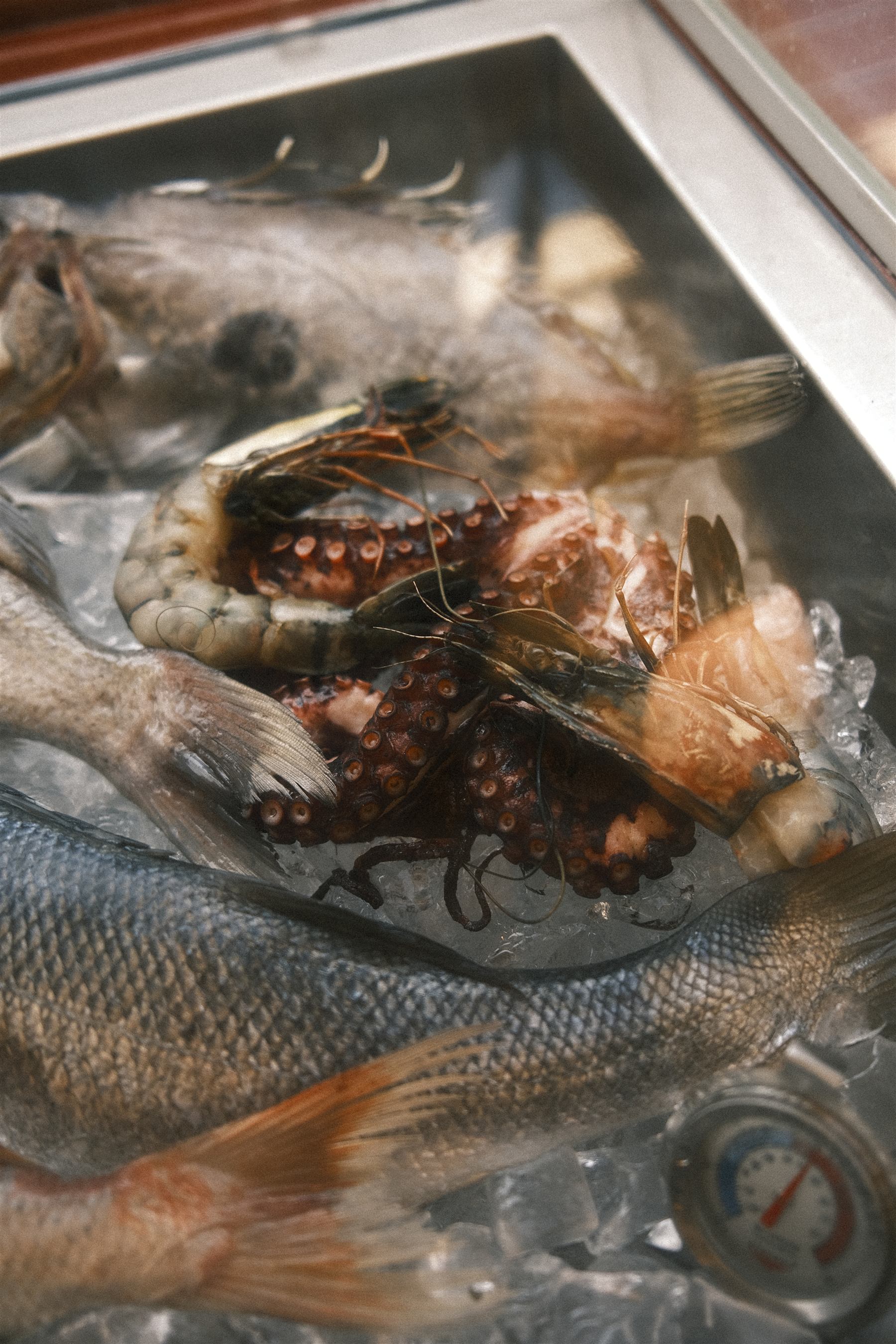 Fresh seafood display case