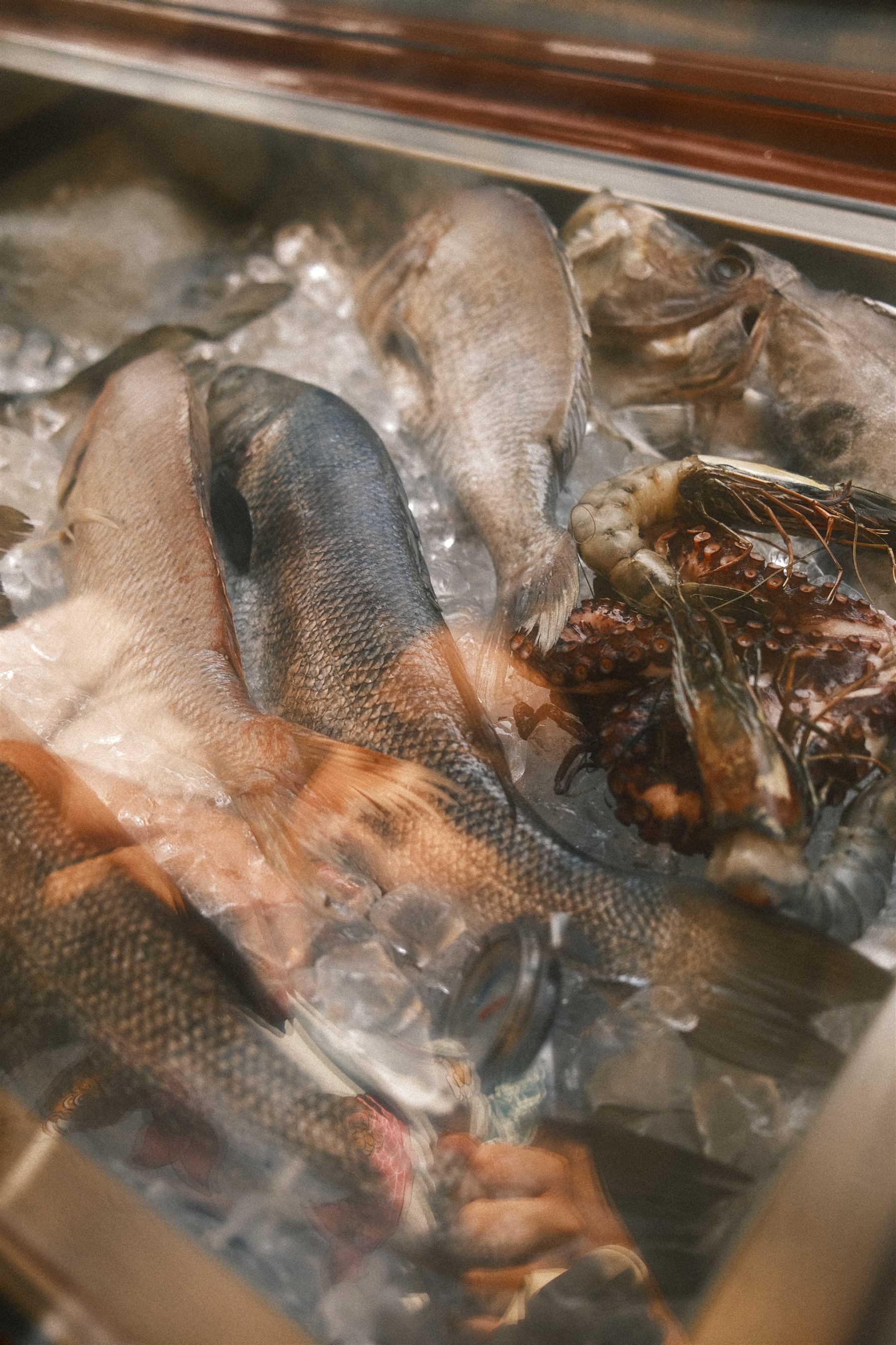 Seasonal seafood on ice