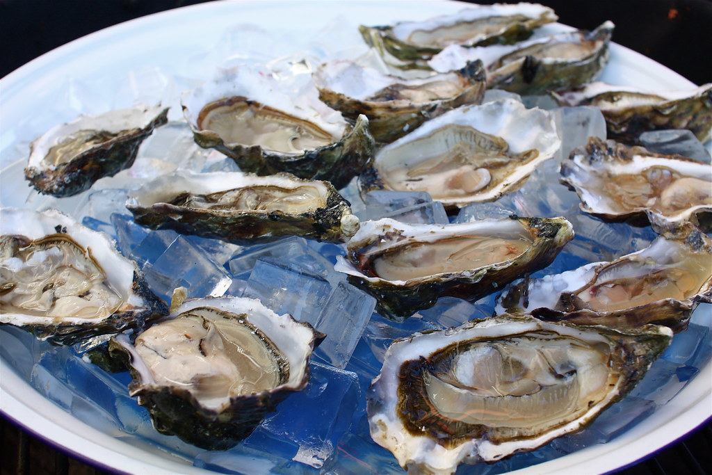 Fresh oysters on ice